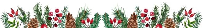 Idee Weihnachtsmailing 2022 Footer (660 × 182 px)