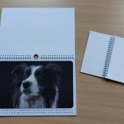 Ein aufgeklappter Kalender mit Ringsbindung.