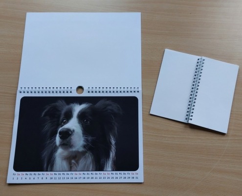 Ein aufgeklappter Kalender mit Ringsbindung.